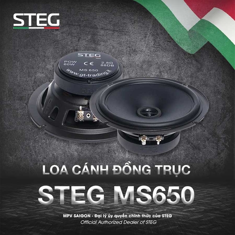 Loa cánh đồng trục STEG MS650