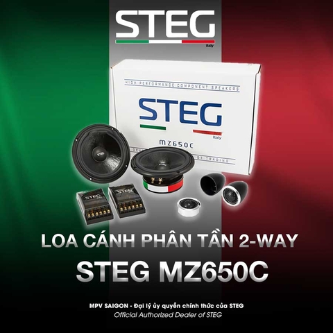 Loa cánh phân tần 2-way STEG MZ650C