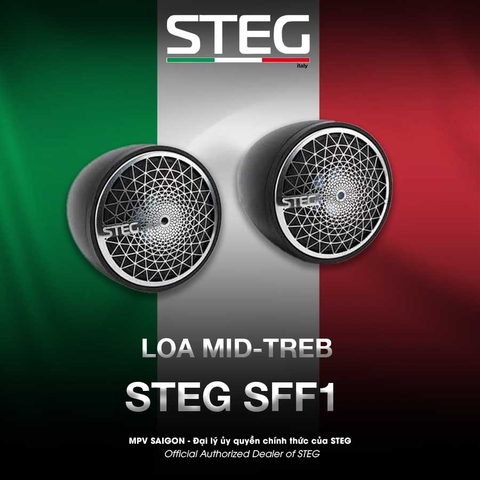 Loa Mid-Treb STEG SFF1
