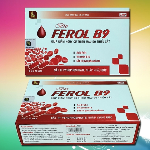Thực Phẩm Bảo Vệ Sức Khỏe BIO FEROL B9
