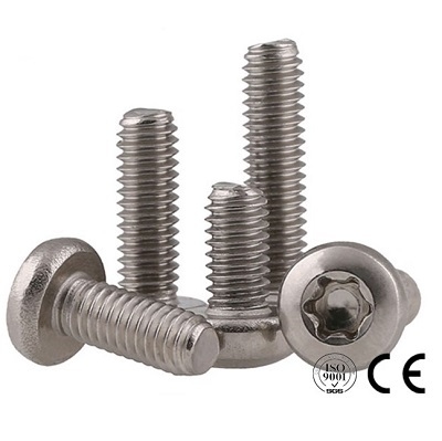 BU LÔNG HOA THỊ INOX