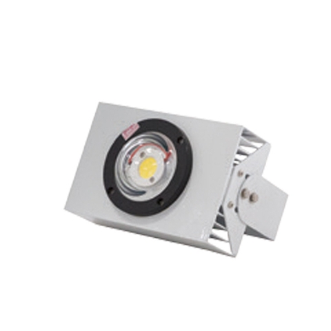 Đèn LED Câu mực 30W DCM 01L/30W RẠNG ĐÔNG