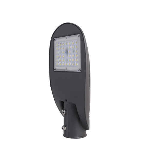 Đèn đường LED 30W D CSD03L/30W RẠNG ĐÔNG