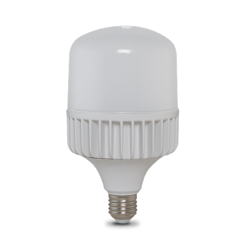 Bóng đèn LED BULB Trụ 30W TR100NĐ2/30W.H RẠNG ĐÔNG