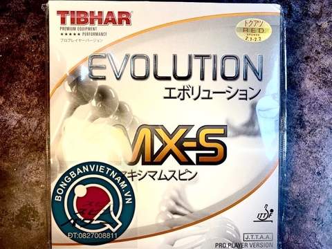TIBHAR Evolution MX-S