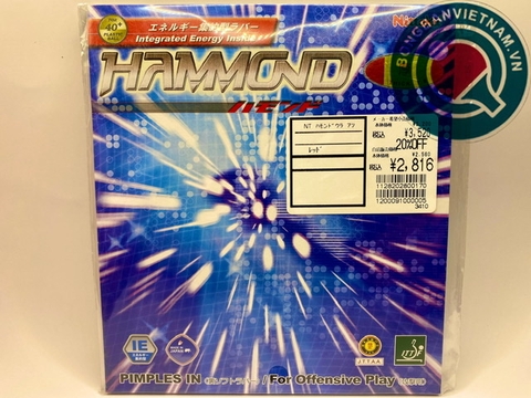 Nittaku Hammond (NĐ Nhật)