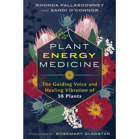 Plant Energy Medicine: The Guiding Voice and Healing Vibration of 58 Plants - Rhonda PallasDowney, Sandi O'Connor