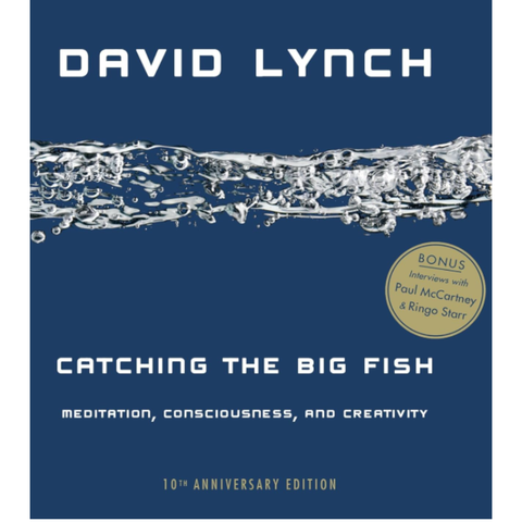 Catching the Big Fish: Meditation, Consciousness, and Creativity: 10th Anniversary Edition - David Lynch