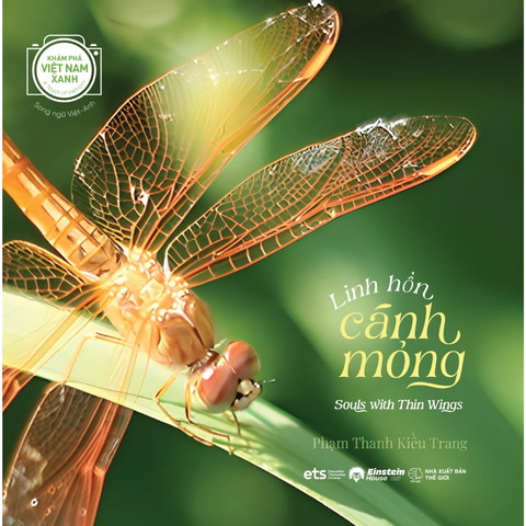 Khám Phá Việt Nam Xanh: Linh Hồn Cánh Mỏng – Chạm Vào Vẻ Đẹp Mong Manh Của Những Sinh Linh Nhỏ Bé