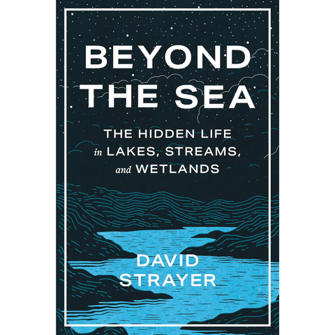 Beyond the Sea: The Hidden Life in Lakes, Streams, and Wetlands - David Strayer