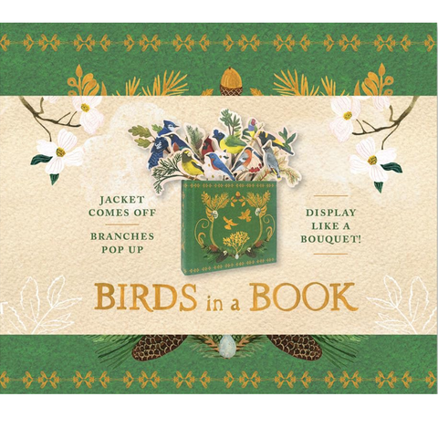 Birds in a Book: Jacket Comes Off. Branches Pop Up. Display Like a Bouquet! - Rachel Grant