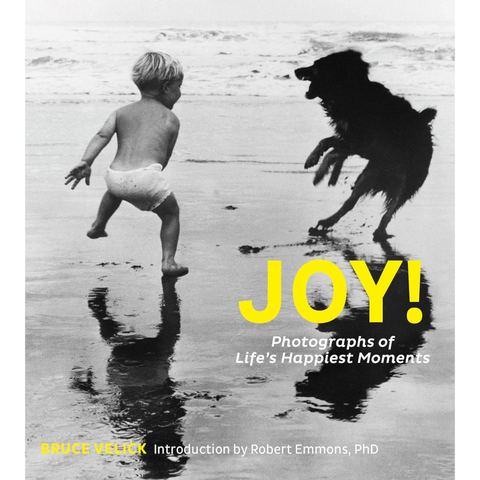 Joy!: Photographs of Life’s Happiest Moments - Bruce Velick