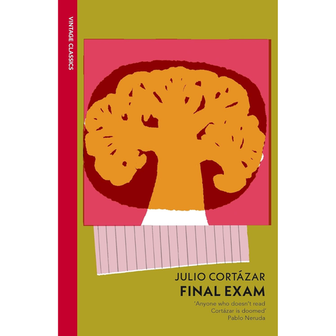 Final Exam - Julio Cortázar