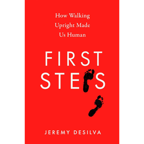 First Steps (used) - Jeremy Desilva