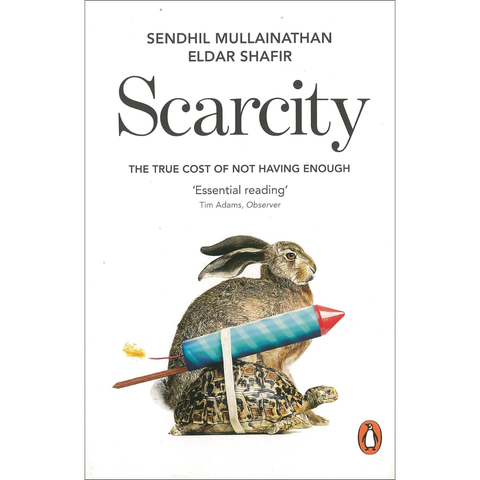 Scarcity: Why Having Too Little Means So Much (used) - Sendhil Mullainathan, Eldar Shafir