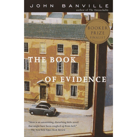 The Book of Evidence - John Banville