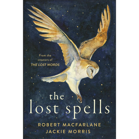 The Lost Spells - Jackie Morris