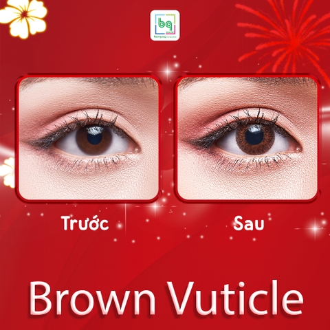 Kính áp tròng Brown Vuticle