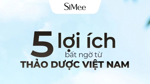 5 Lợi Ích Tuyệt Vời Từ Thảo Dược Việt Nam Giúp Tóc Khỏe – Da Đẹp Mỗi Ngày