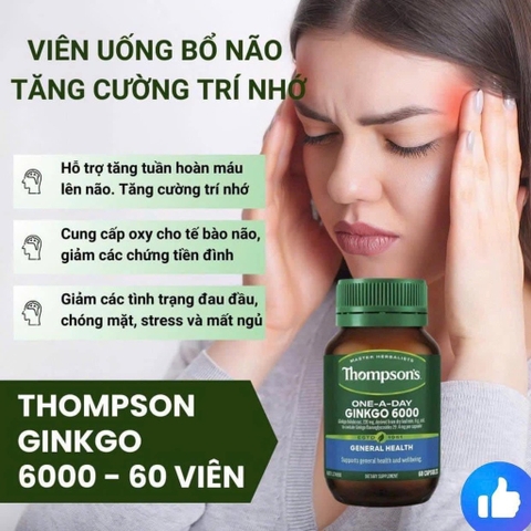 Thompson Ginkgo 6000mg