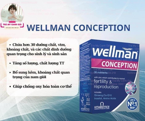 Vitabiotics Wellman conception