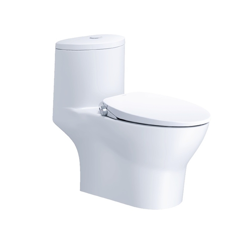 Bồn cầu 1 khối Caesar CD1375F nắp rửa cơ TAF060