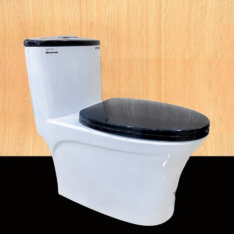 Bồn cầu 1 khối Ryoni TO 810P nắp đen