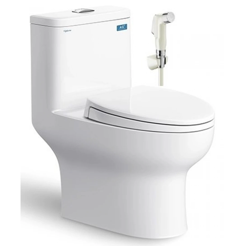 Bồn cầu 1 khối Viglacera V64 + Xịt VG826 + Van VG853