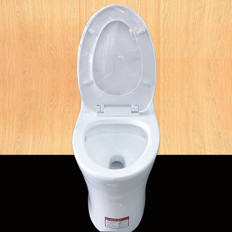 Bồn cầu 1 khối VSalto V803