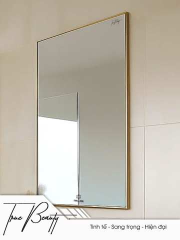 Gương GLS BF5GR30 viền nhôm 50x70