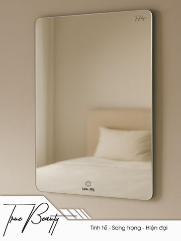 Gương GLS BS00R30 trơn đứng 50x70