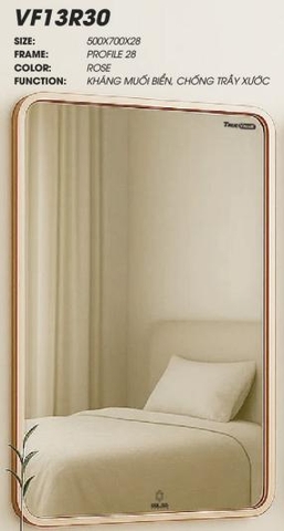 Gương GLS VF13R30 viền nhôm 50x70