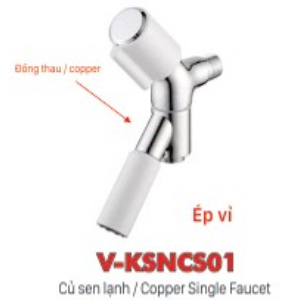 Củ sen nước lạnh đồng thau V-KSNCS01