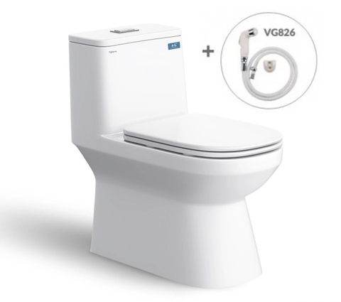 Bồn cầu 1 khối Viglacera V816 tặng kèm xịt vệ sinh VG826 + Van VG853