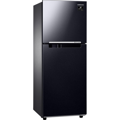 Tủ lạnh Samsung Inverter 256 lít RT25M4032BU/SV