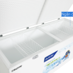 Tủ đông Hòa Phát 783 lít HPF AD6783