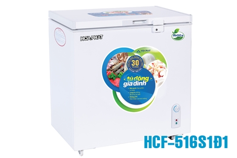 Tủ đông Hòa Phát 252l 1 ngăn dàn đồng HPF AD6252