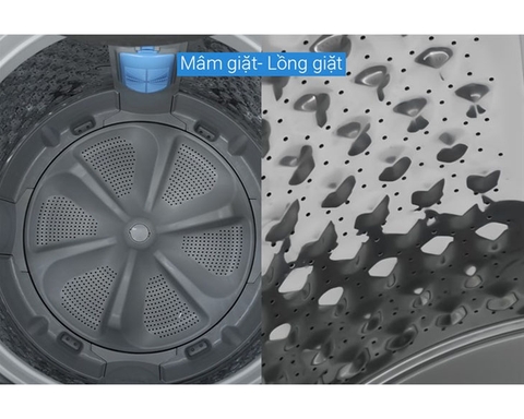 Máy giặt Toshiba Inverter 17 kg AW-DUN1800MV(SG) [2024]