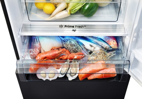 Tủ lạnh Panasonic Inverter 380 lít NR-BX421WGKV