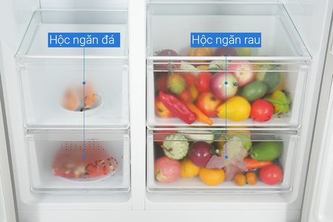 Tủ lạnh LG Inverter 519 lít GR-B256JDS