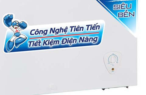Tủ đông Alaska 400 lít BD-400C