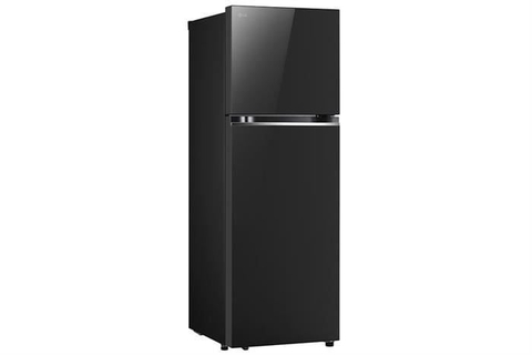 Tủ Lạnh LG Inverter 461 Lít LTB46BLG