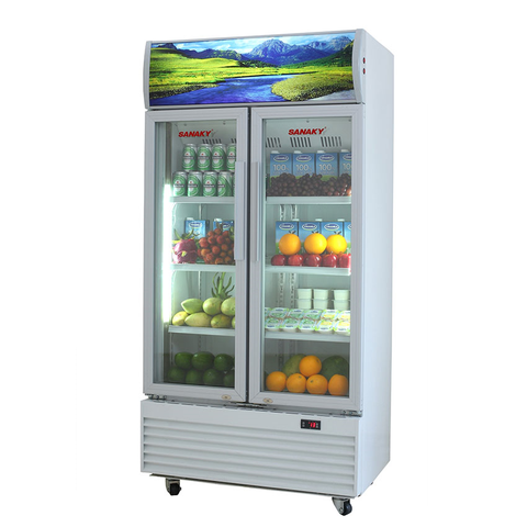 Tủ mát Sanaky VH-8009HP3