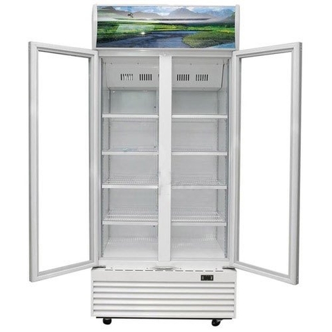 TỦ MÁT SANAKY 700 LÍT VH-8009HP