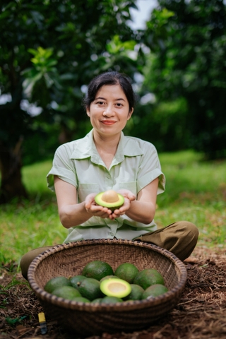 Dầu quả Bơ ép lạnh Pơ Lang dưỡng mềm da chống lão hóa giảm vết rạn 30ml LYO