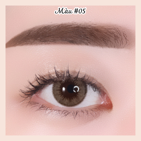 Chì kẻ mày 2 đầu Innisfree AUTO EYEBROW PENCIL 3g mẫu mới 2023