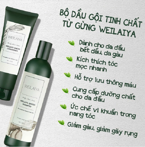 Bộ Dầu Gội Xã Tinh Chất Gừng Weilaiya Ginger (Shampoo  400ml và Conditioner - 250ml)