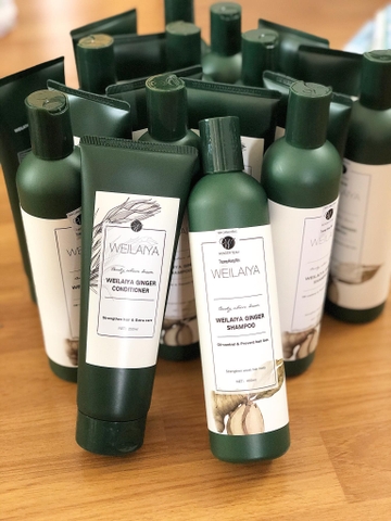 Bộ Dầu Gội Xã Tinh Chất Gừng Weilaiya Ginger (Shampoo  400ml và Conditioner - 250ml)