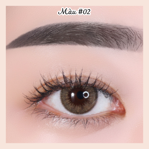 Chì kẻ mày 2 đầu Innisfree AUTO EYEBROW PENCIL 3g mẫu mới 2023