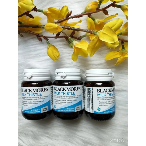 e819 - Viên uống bổ gan, hỗ trợ chức năng gan Blackmores Milk Thistle (42 viên)